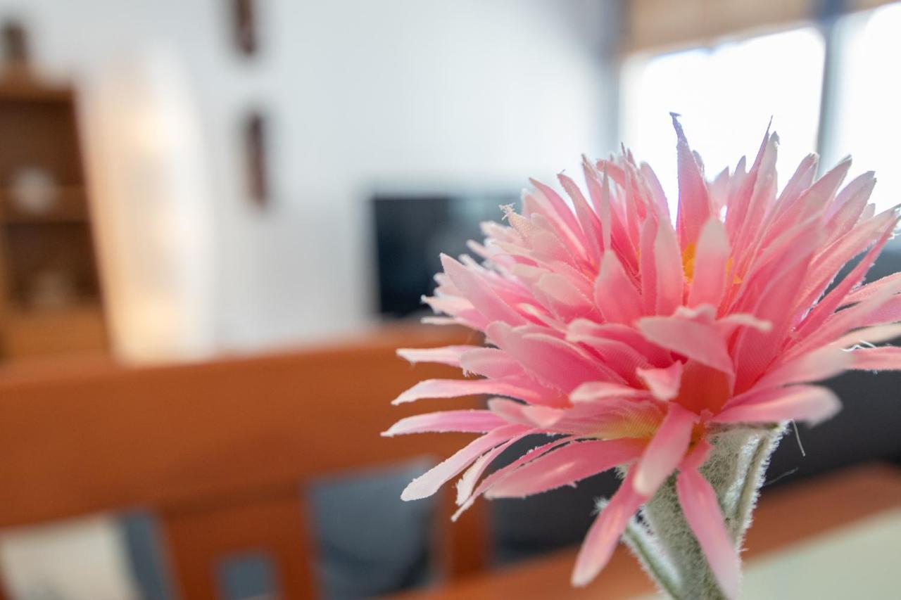 Apartamento Tribalia 카디스 외부 사진